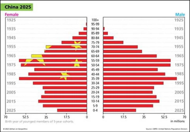 CHINESE POPULATION IN 2030 visual data 4