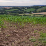 Photo of a a farm in England