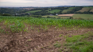 Photo of a a farm in England