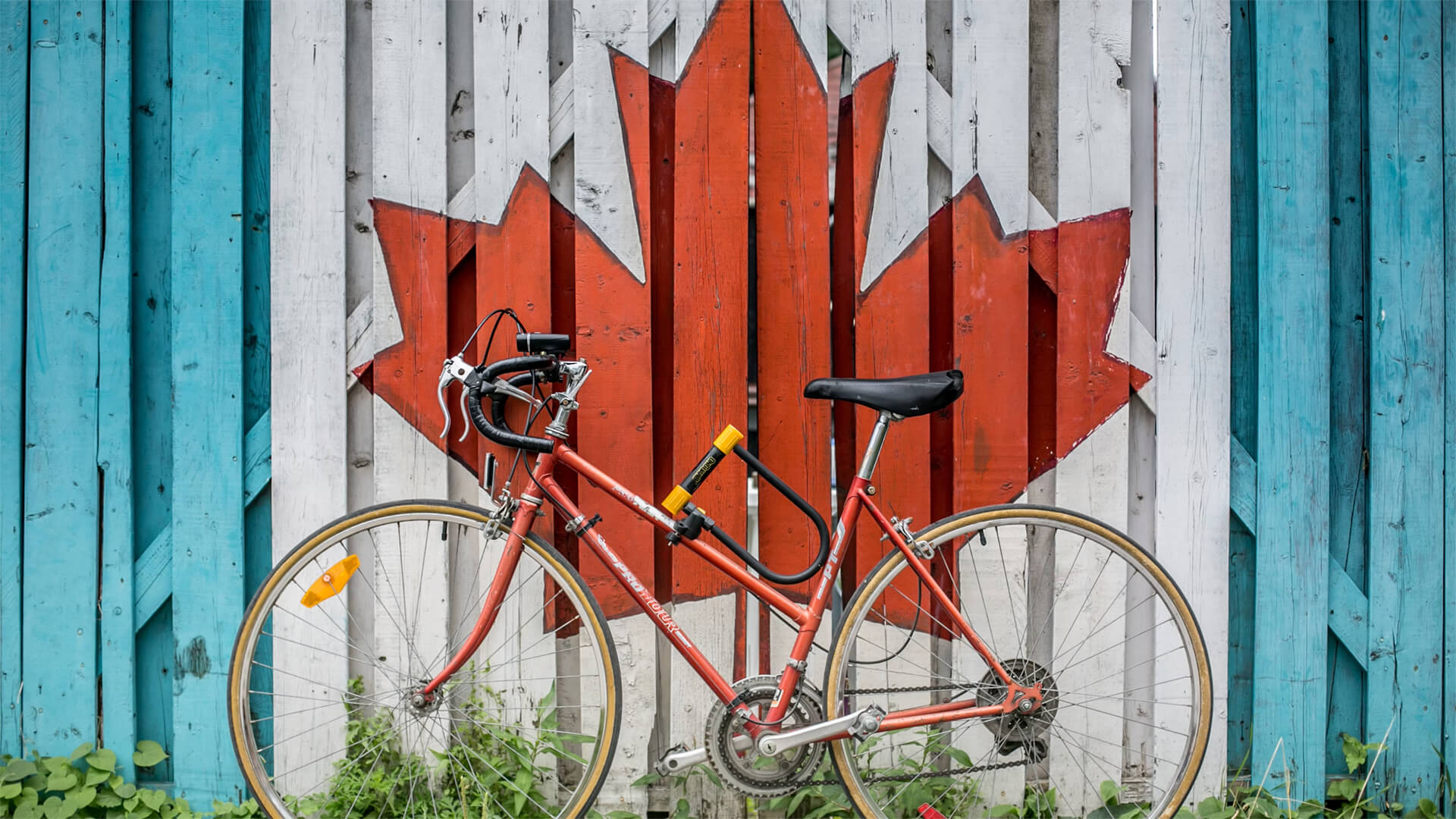 Photo of a bicycle in front of the Canadian flag