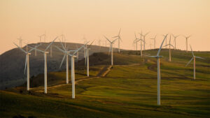 Photo of multiple wind turbines