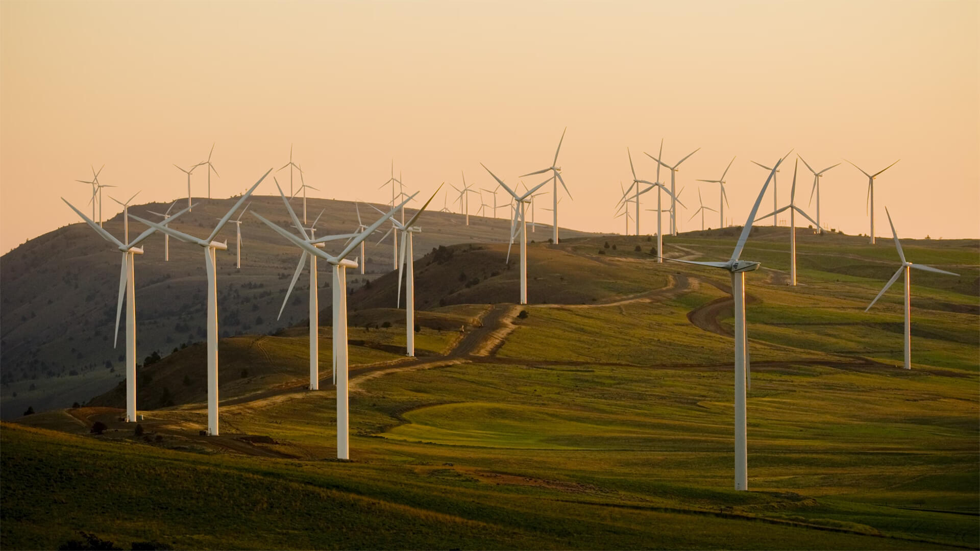 Photo of multiple wind turbines