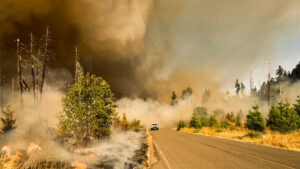 Wildfires with smoke and a car in the background