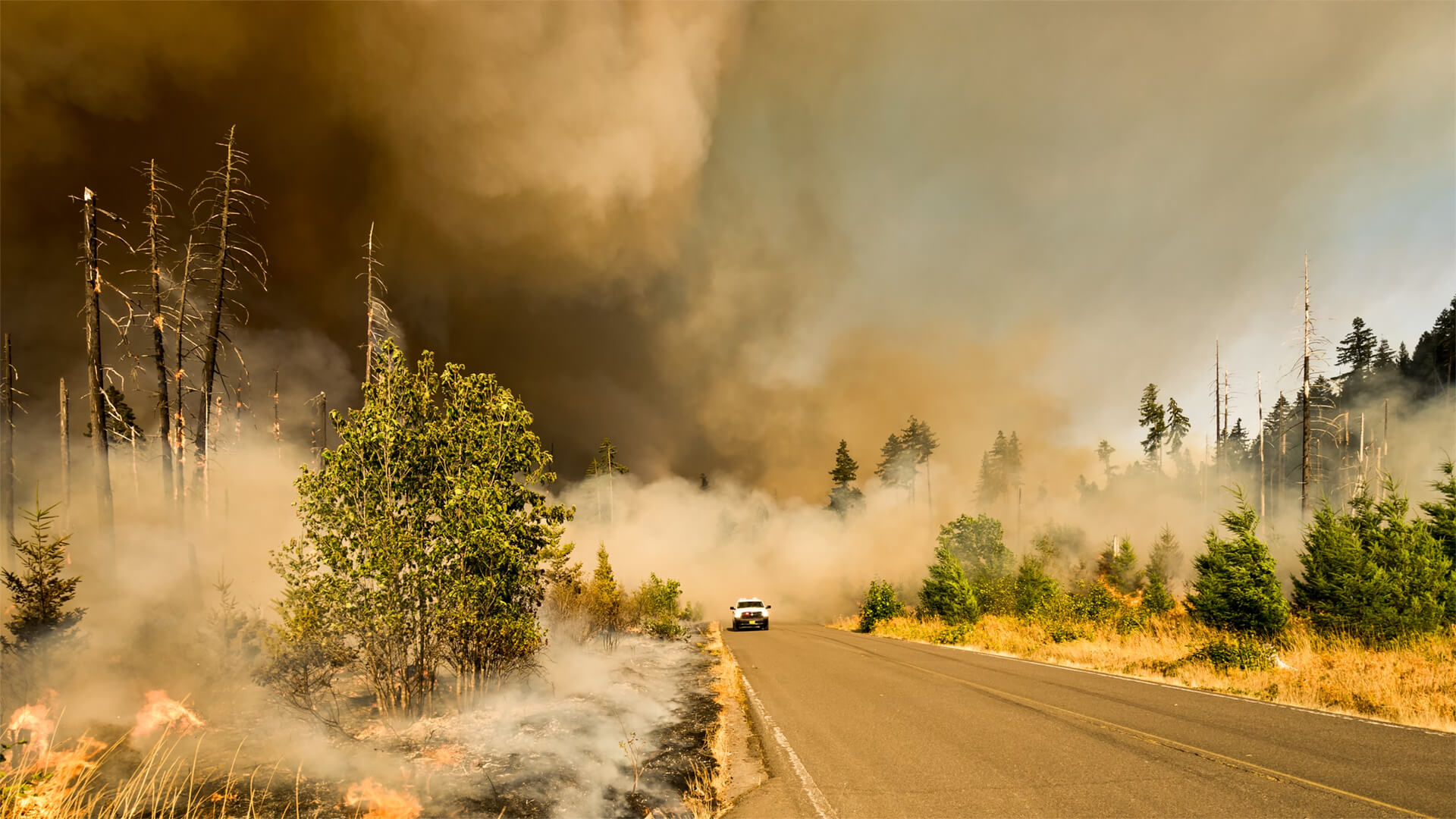 Wildfires with smoke and a car in the background