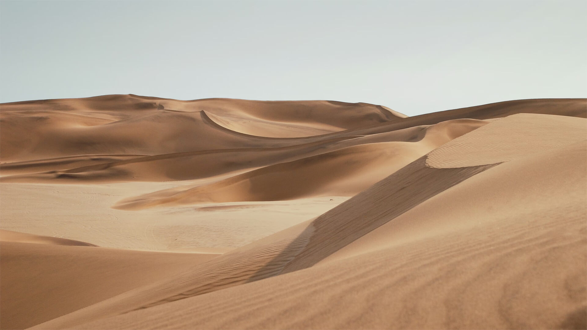 A desert full of sand