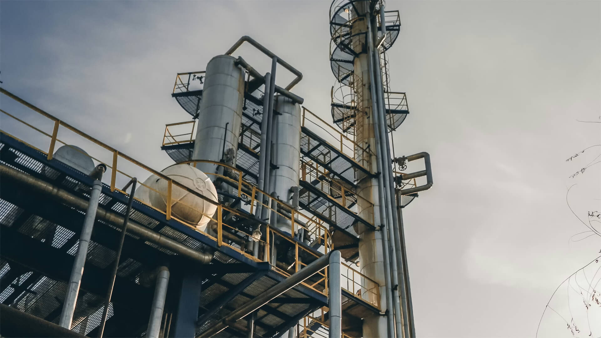 Petrochemical plant