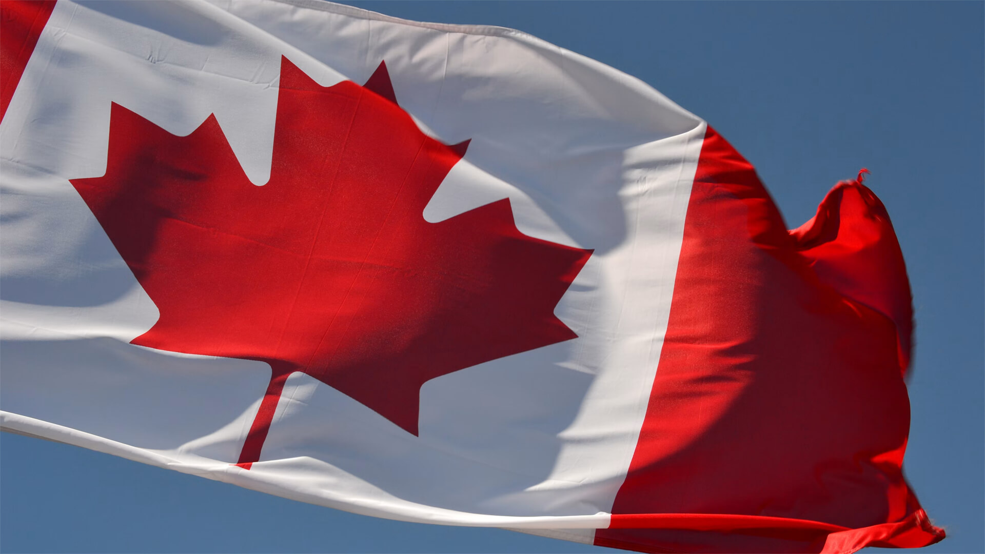 Flag of Canada waving in the wind